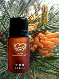 廣州雨潤美容美體與廣州靈蘭化妝品廠的平面設(shè)計合作